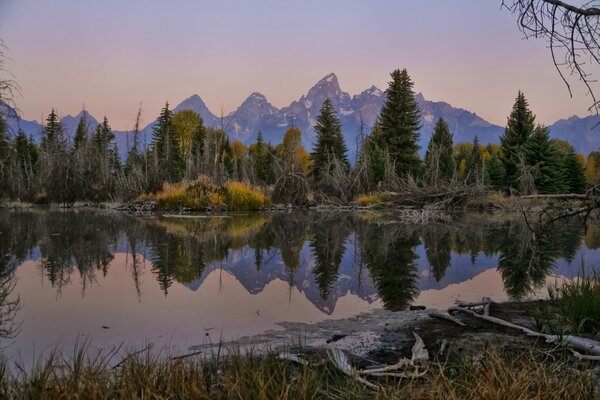 Lago con il riflesso della foresta e delle montagne