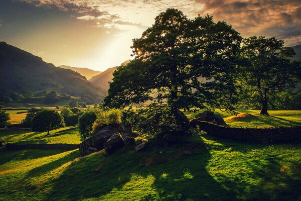 A warm summer evening in Britain