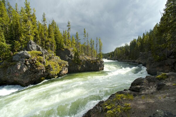 El color verde del río y los árboles de Navidad