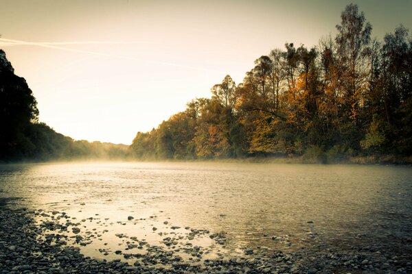 Foto de la mañana del río. Niebla y árboles