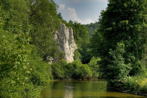 Леса в Баварии перемежаются гороми и реками