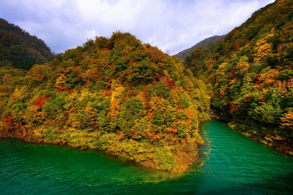 Herbstwald und Berge in Japan