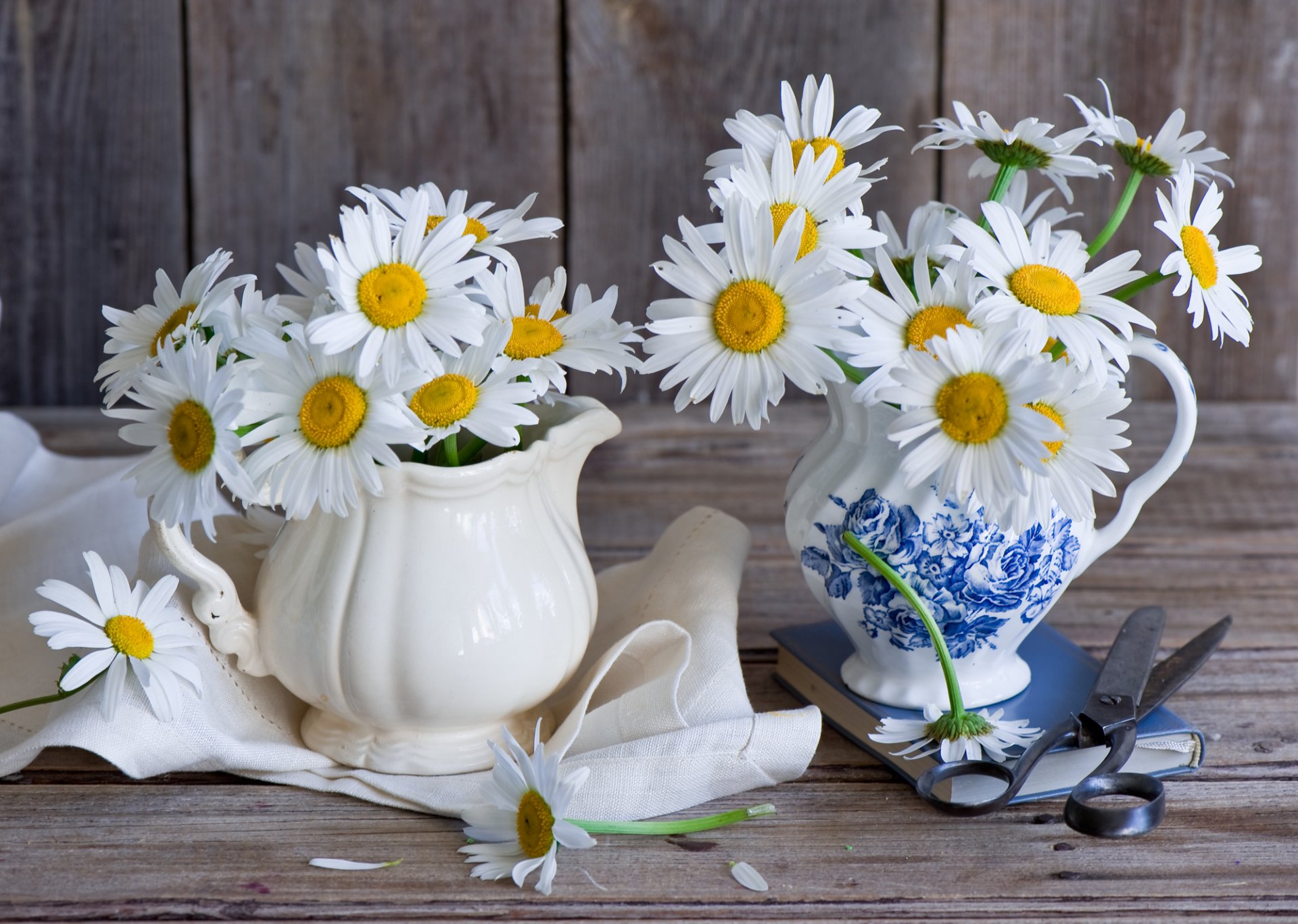 chamomile jars scissors book still life