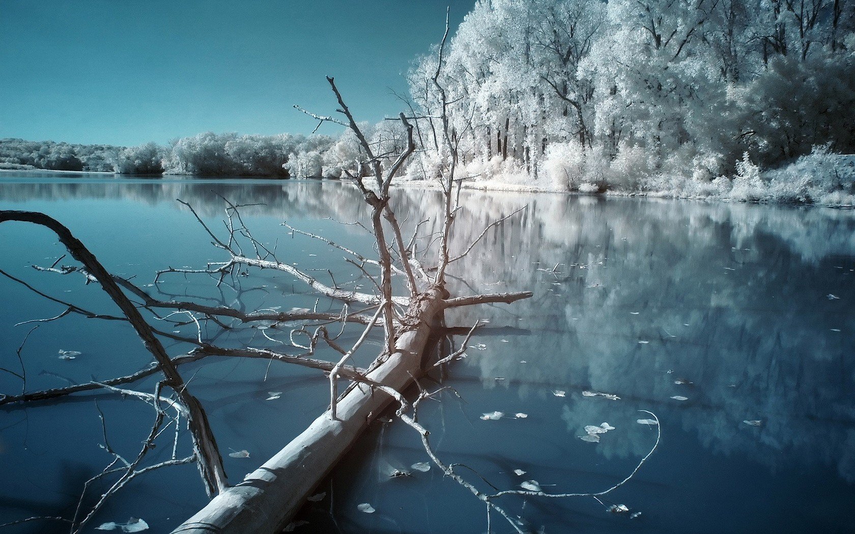 hiver nuit lac froid