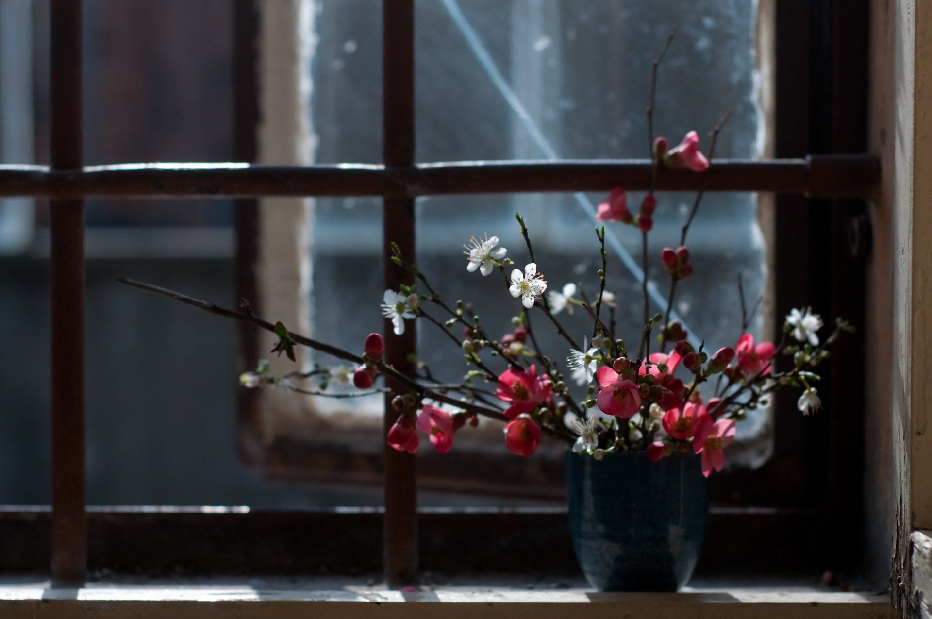 flower window background