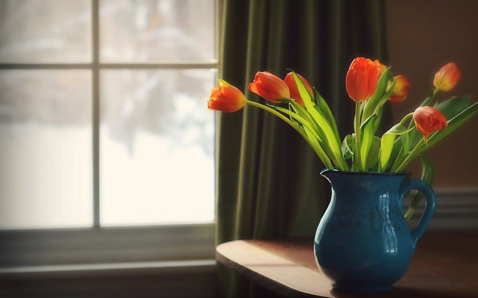 tulips vase background