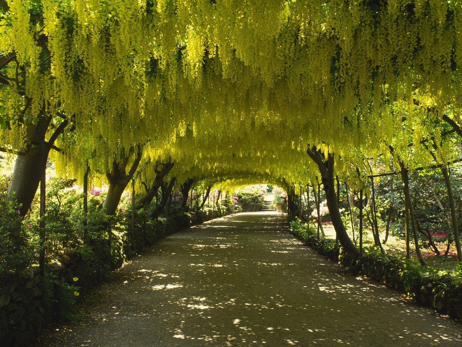 nature road