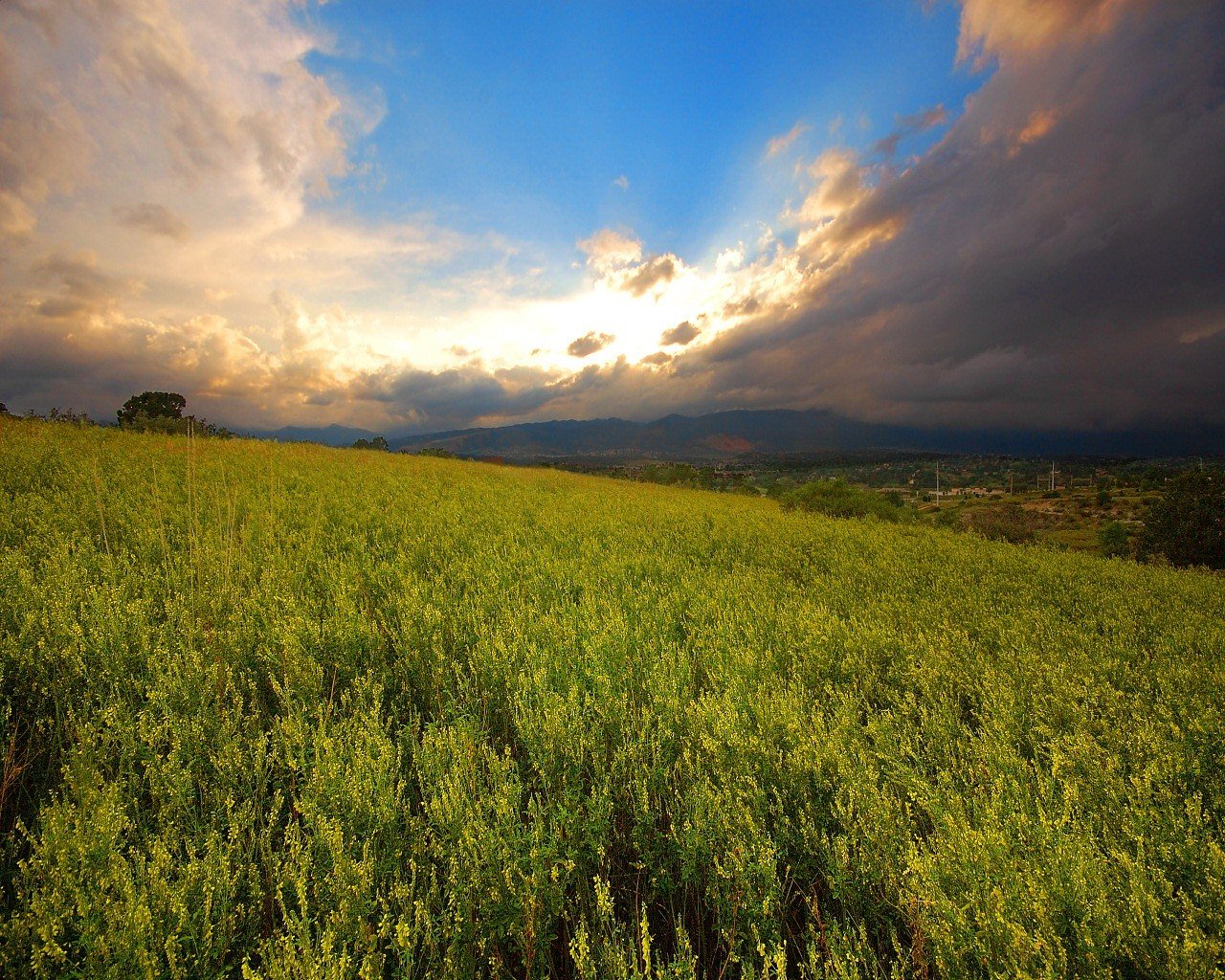 campo cielo sole carta da parati