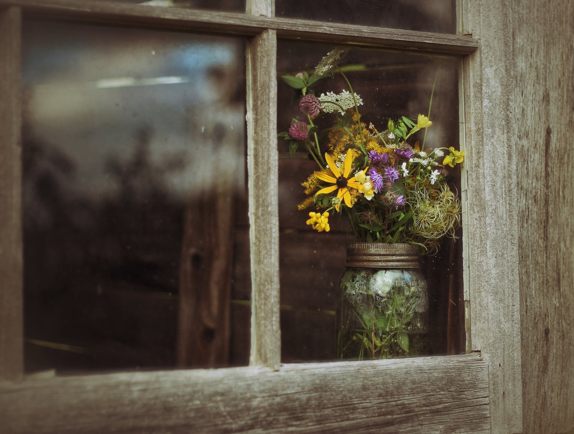 fleurs fenêtre fond