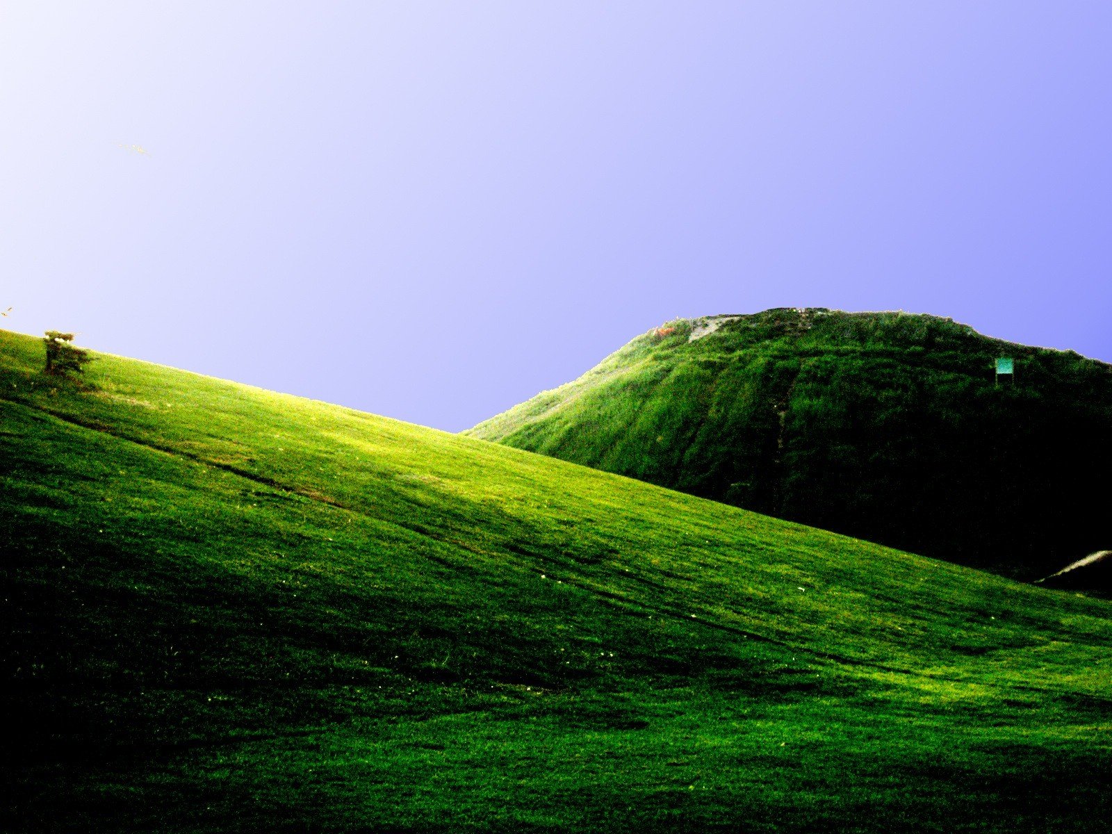 champs verdure montagnes collines