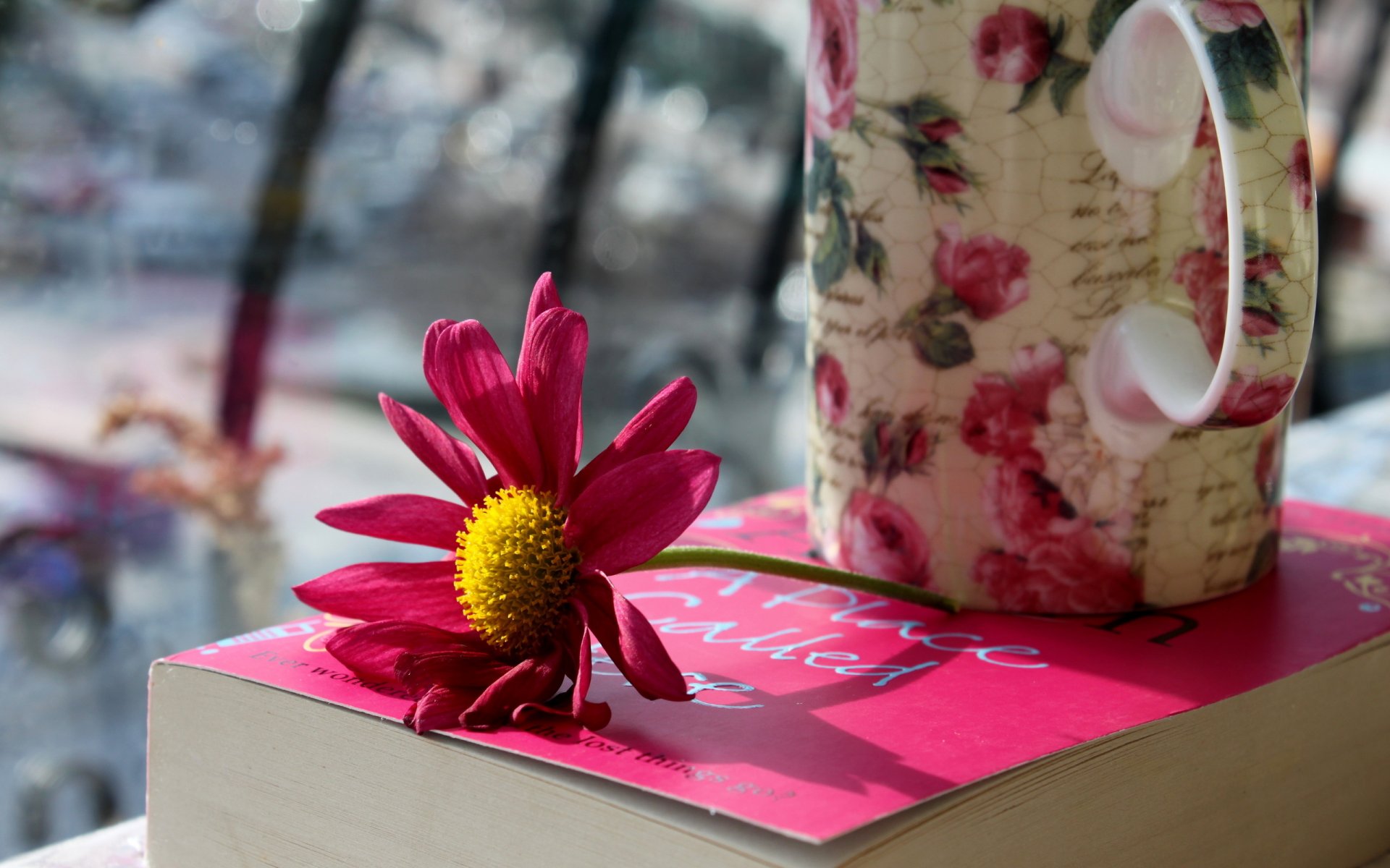 rosa fiore tazza libro tazza petali foto