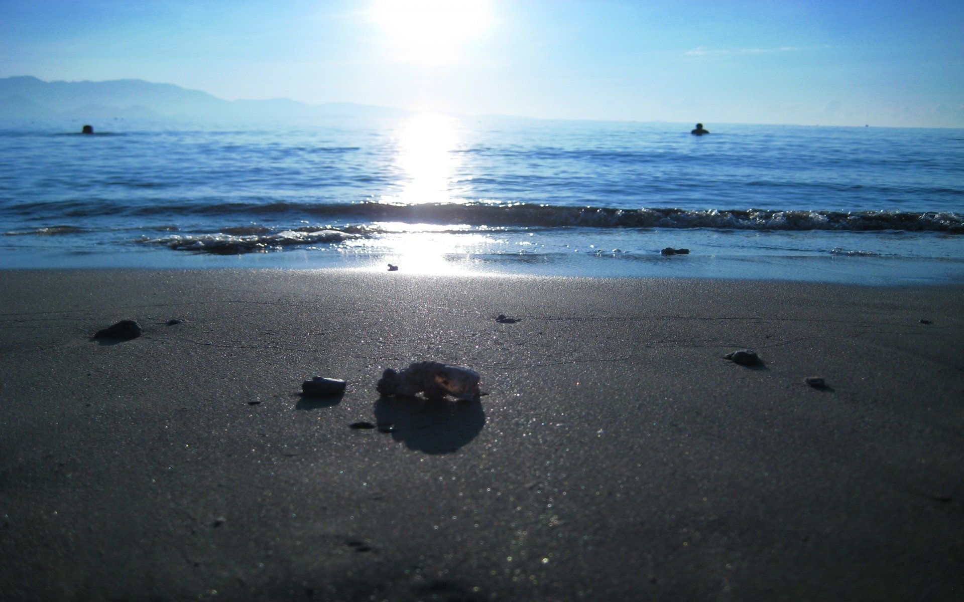 mare spiaggia sabbia natura