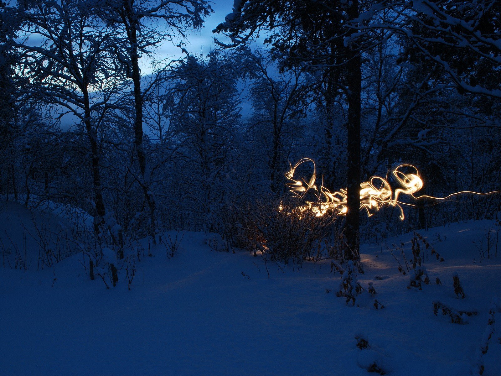 schnee landschaft kälte