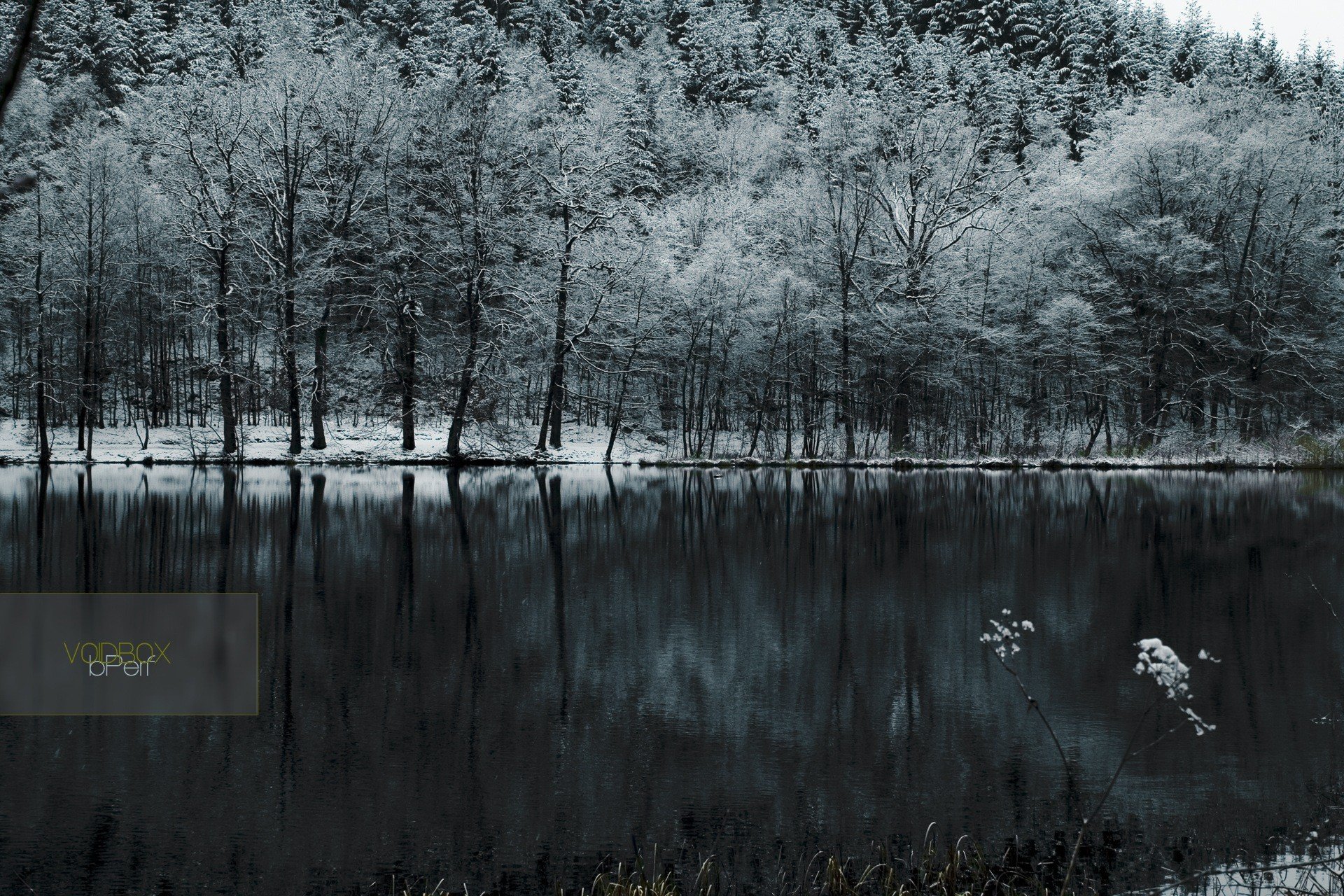 forêt neige lac froid