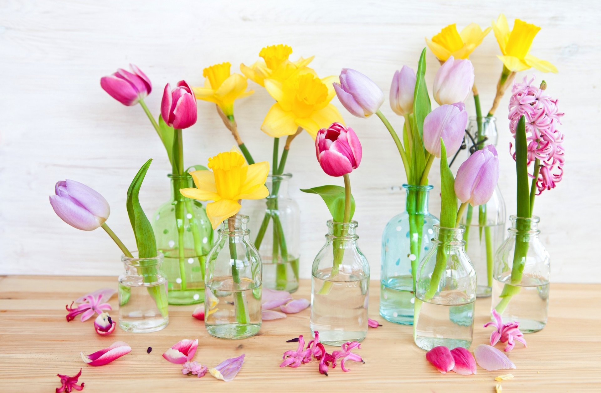 flower tulips pink daffodils yellow petals bottle