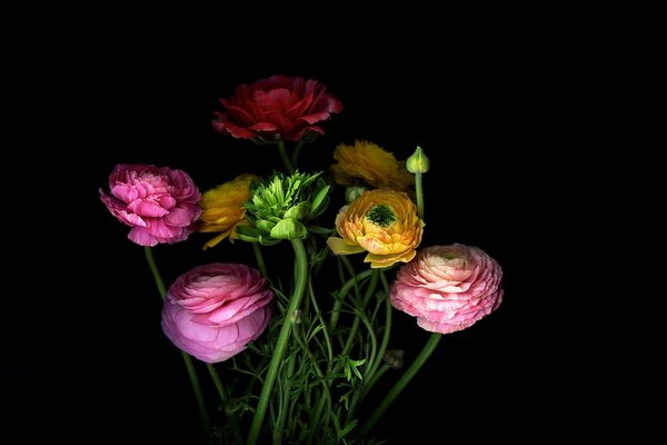 Stiele von Blumen in einem Blumenstrauß mit Blütenblättern Schatten