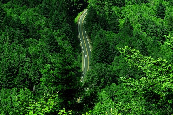 Desde arriba, el camino de verano es especialmente hermoso