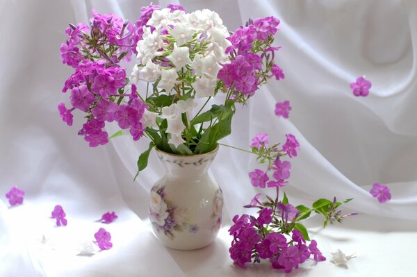 Phlox in a vase. Vase with white and pink flowers