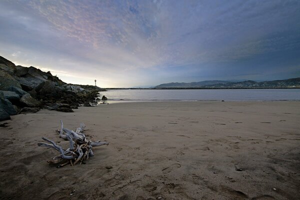 An empty beach. Sea and sand