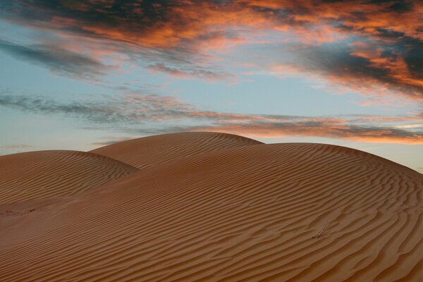 Arena amarilla. Calor del desierto