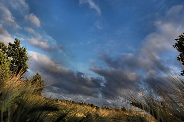 Wolken am blauen Himmel. Das Feld