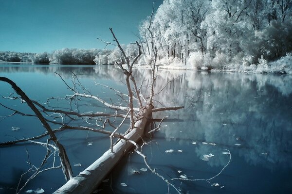 Notte d inverno in riva al lago