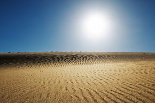 Sol sobre un desierto de arena sin fin en un mediodía caluroso