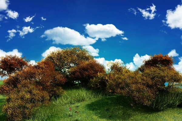 Arbustos verdes contra el cielo y las nubes