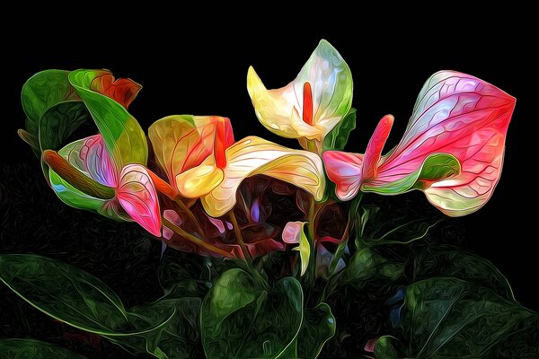 Fleurs d Anthurium. Les verts d Anthurium. Fond sombre