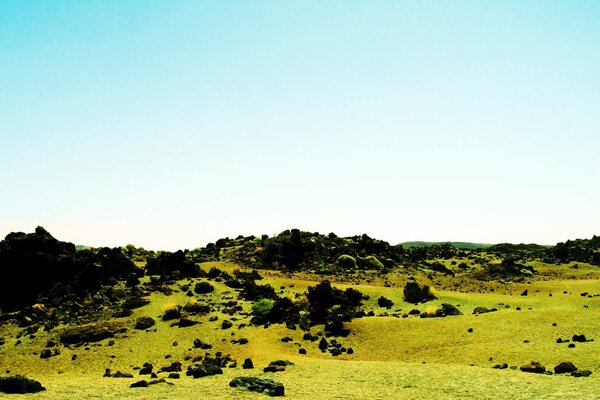 Un campo en las montañas lleno de piedras