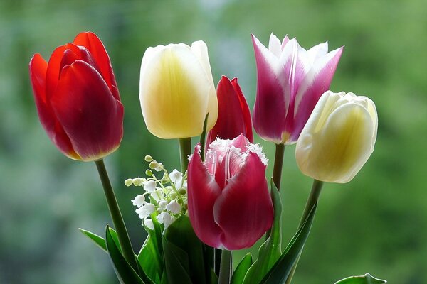 Blumenstrauß aus Frühlingsblumen von Tulpen