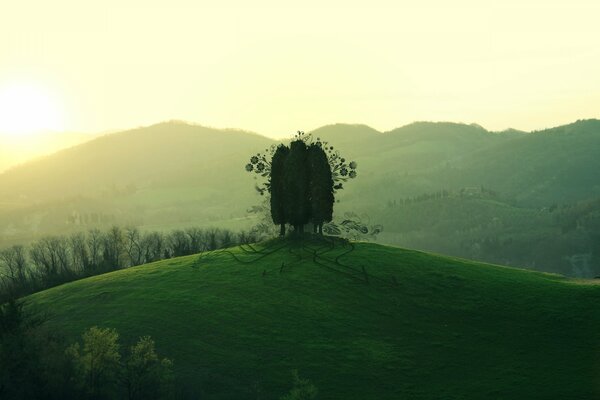 Zeichnung. Feld, Grün, Bildschirmschoner Hintergrund