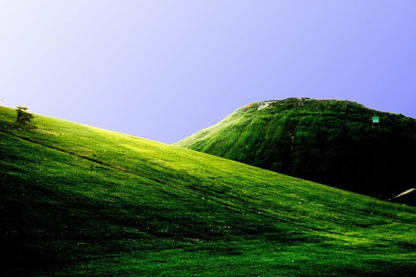 Verdes colinas y campos en las montañas