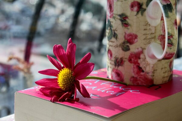 Fiore rosa e tazza sul libro