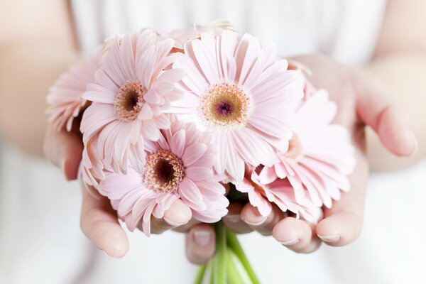 Donnez aux filles la tendresse et les fleurs