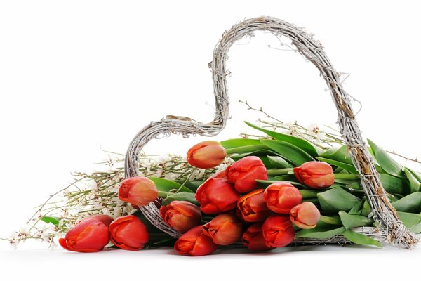 Un ramo de tulipanes rojos en un corazón de ramita tejida decorativa. Primavera. Amor