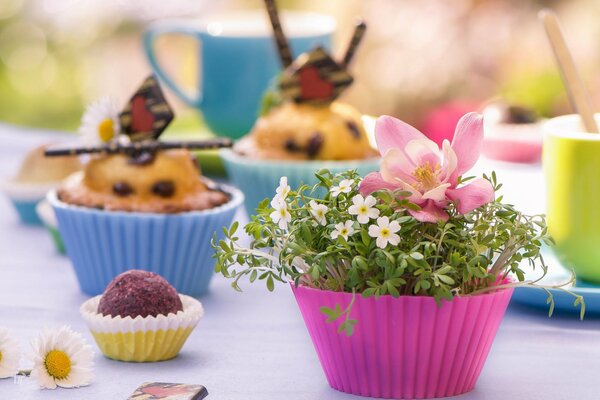 Molds with muffins and flowers