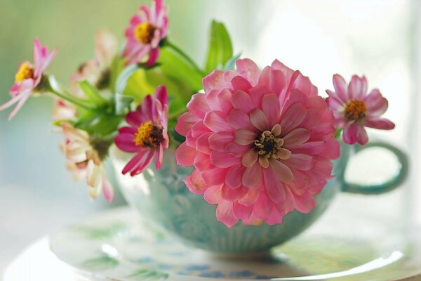 Delicadas flores en una taza azul sobre la mesa