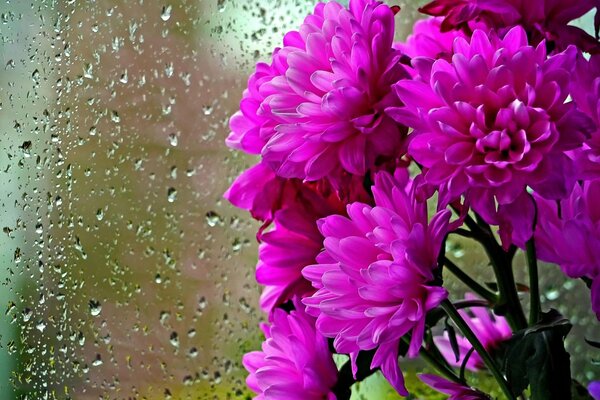 Bouquet behind wet glass