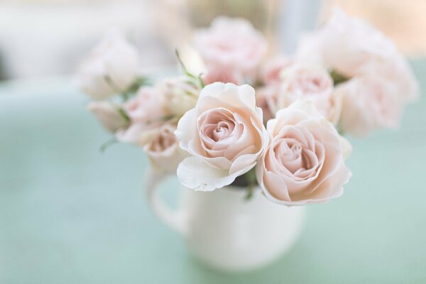 Rosas Rosadas en un jarrón blanco