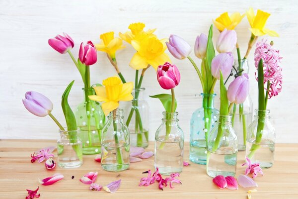 Daffodils and tulips in a bottle are a symbol of spring and a wonderful mood