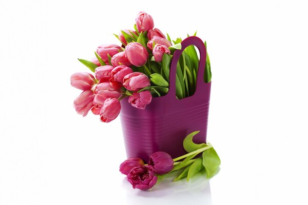 Bouquet of pink fresh tulips in a planter