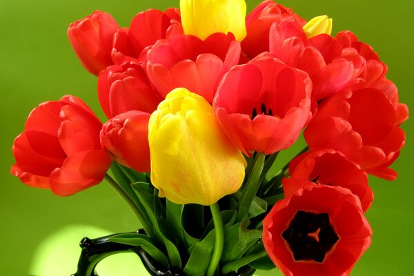 Primo piano di un bouquet di tulipani luminosi