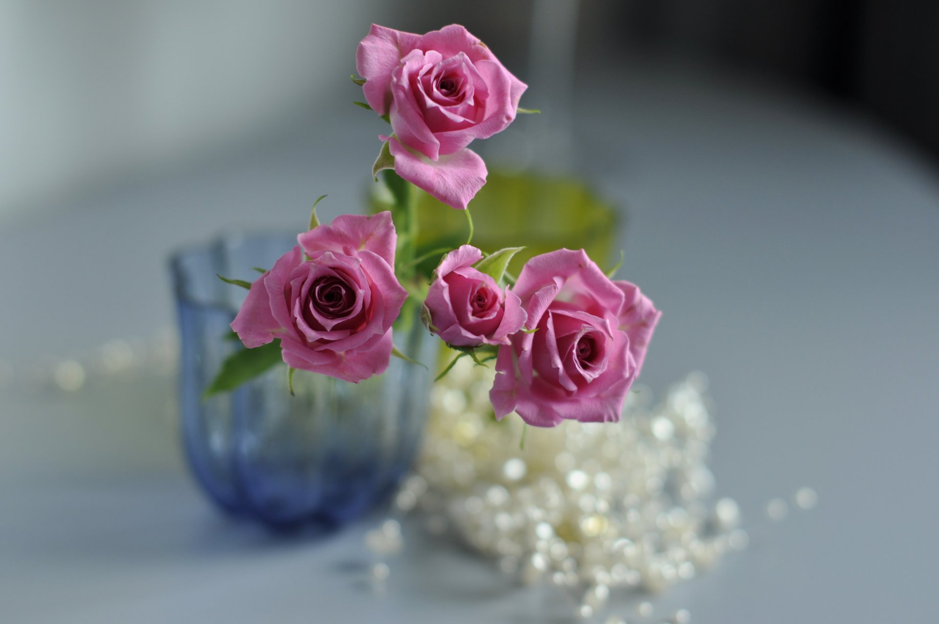 vaso fiori rose rosa