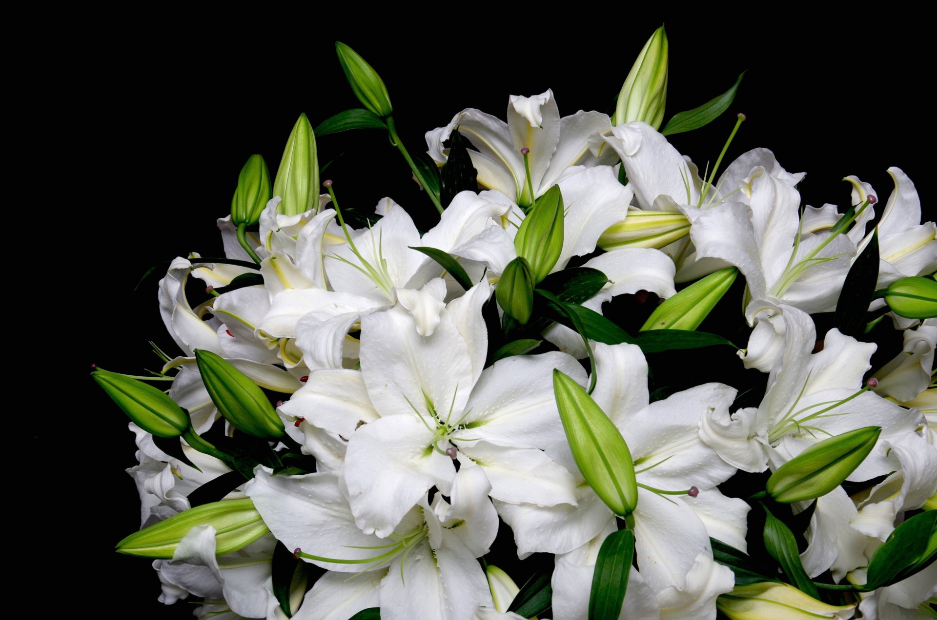 lilien weiß blumenstrauß