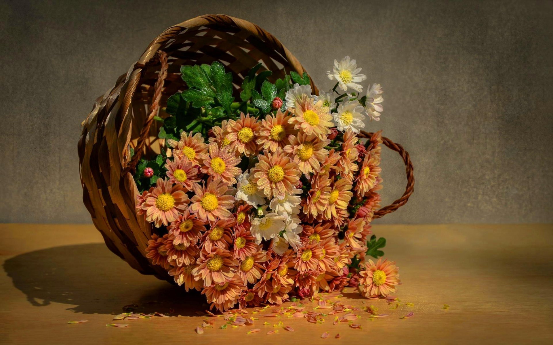 korb blumen tropfen wasser