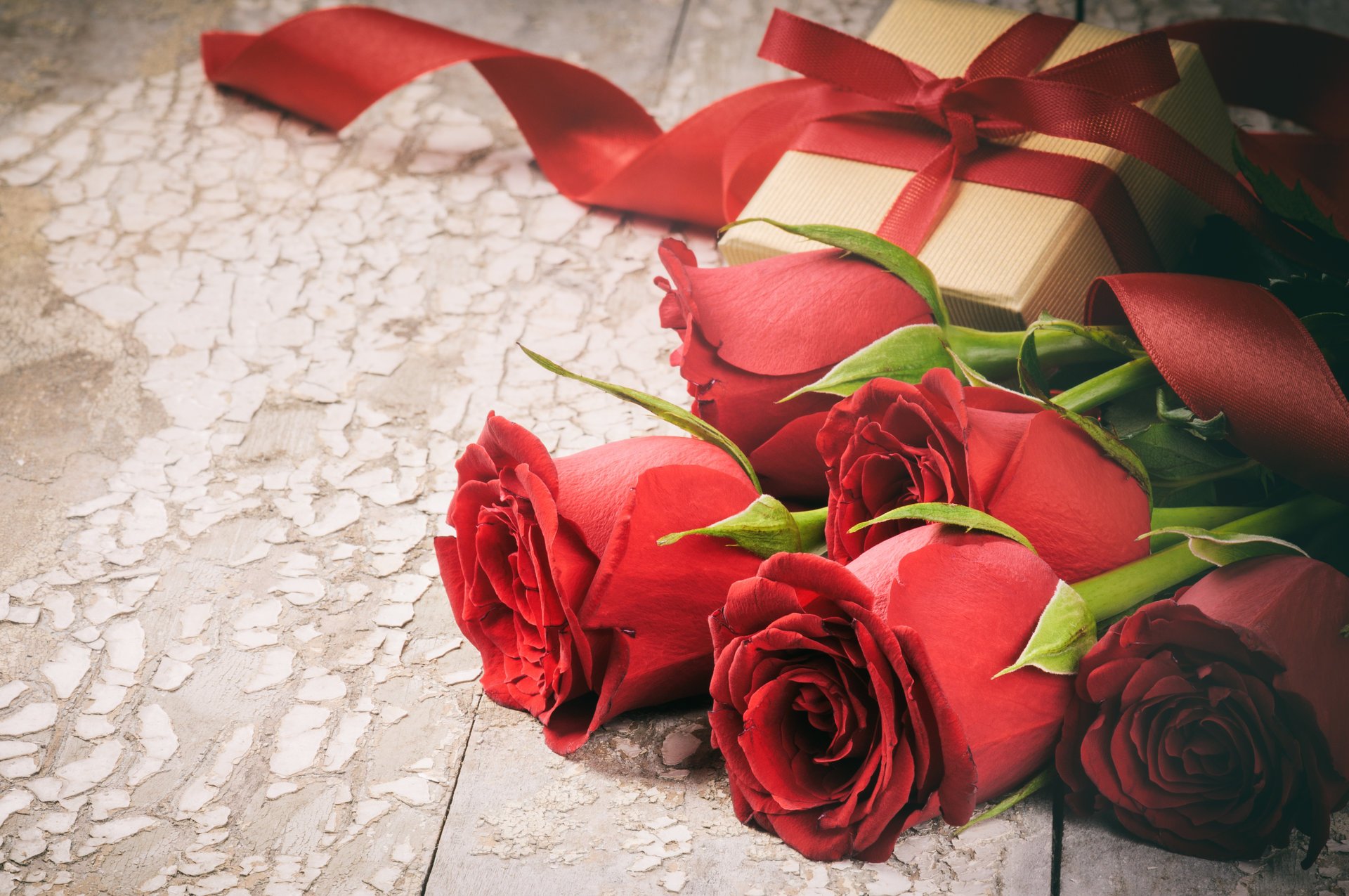 flowers roses love petal