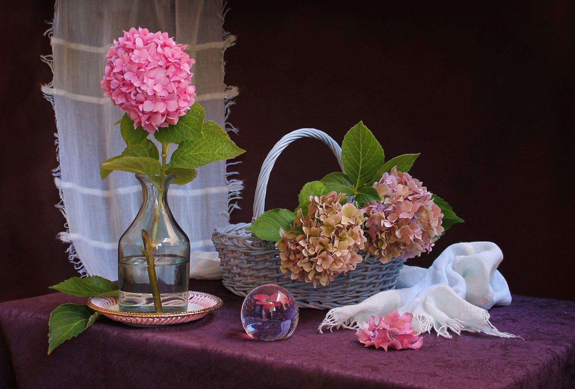 hydrangea basket still life