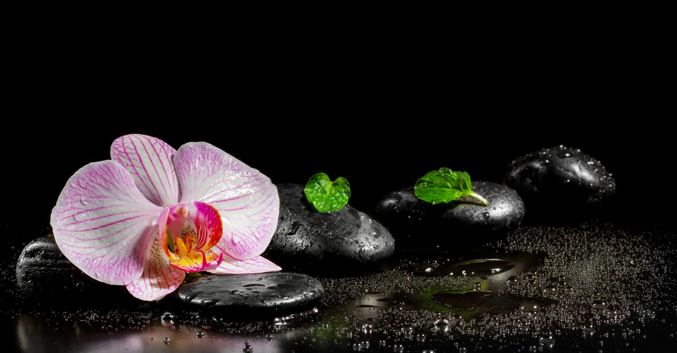 wasser spa steine blume orchidee blätter