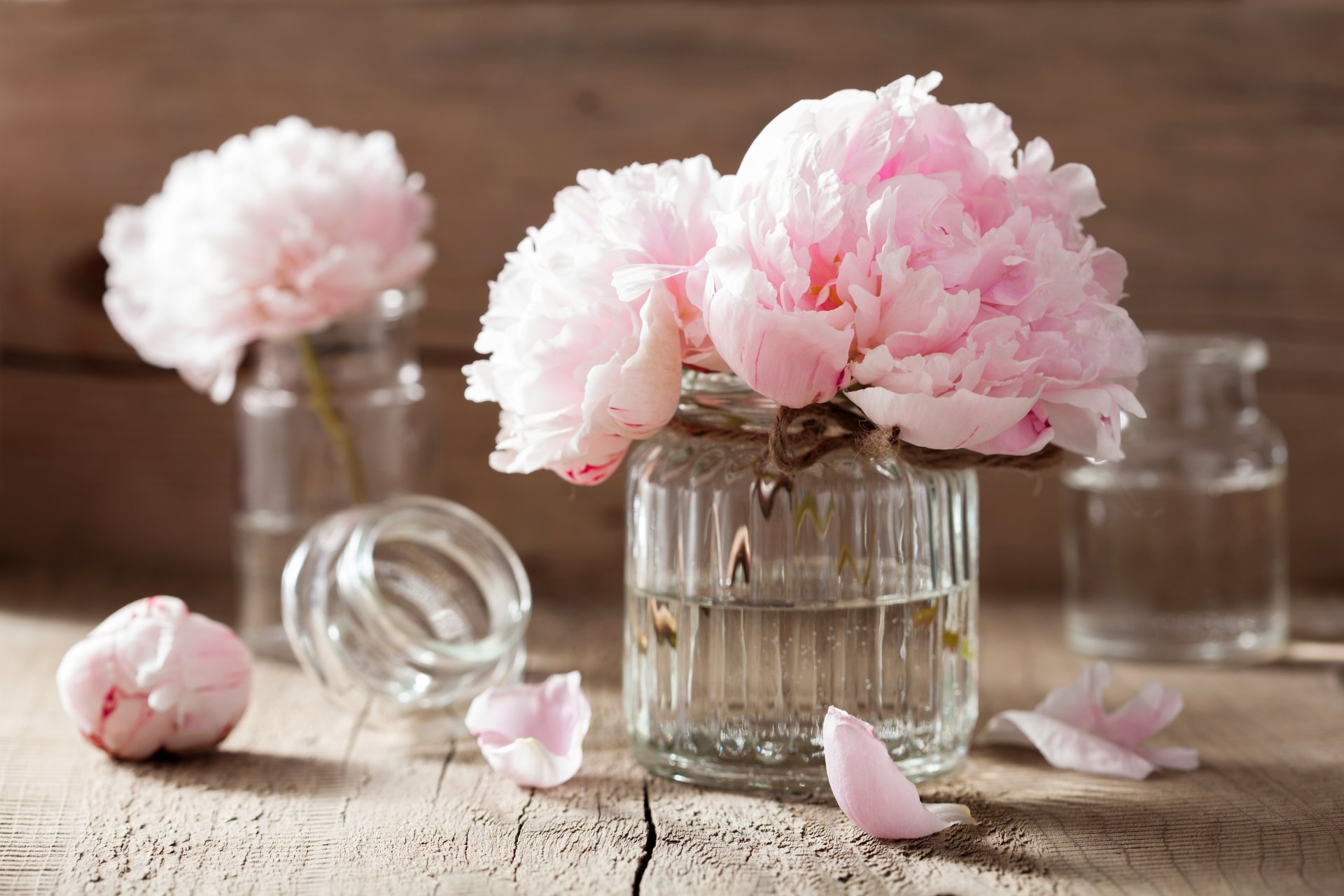 flores flores rosadas pétalos naturaleza muerta rosas spa